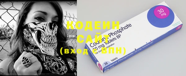 амф Вяземский