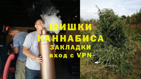 амф Вяземский