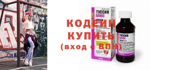 амф Вяземский