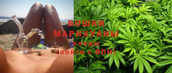 амф Вяземский