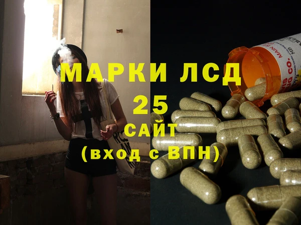 шишки Пересвет
