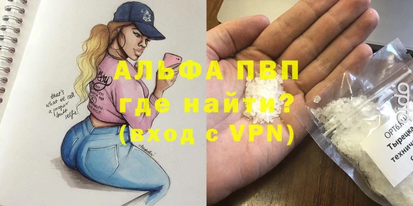 амф Вяземский