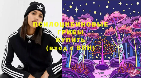 амф Вяземский