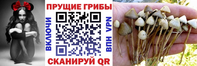 Псилоцибиновые грибы MAGIC MUSHROOMS  Купить  Покровск 
