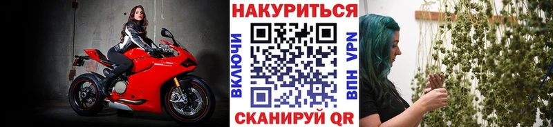 Купить Покровск Конопля White Widow